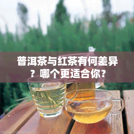 普洱茶与红茶有何差异？哪个更适合你？