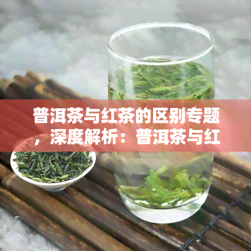 普洱茶与红茶的区别专题，深度解析：普洱茶与红茶的六大区别，你了解吗？