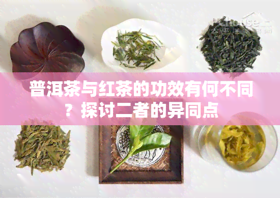 普洱茶与红茶的功效有何不同？探讨二者的异同点