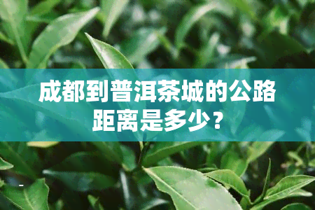 成都到普洱茶城的公路距离是多少？