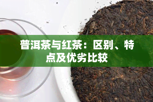 普洱茶与红茶：区别、特点及优劣比较