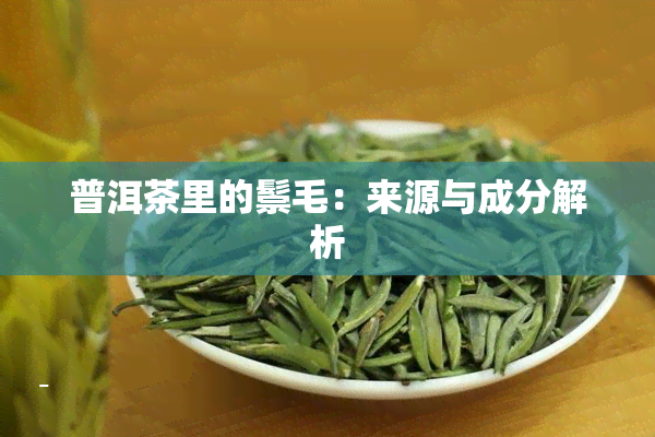 普洱茶里的鬃毛：来源与成分解析