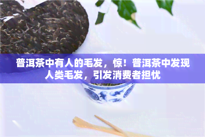 普洱茶中有人的毛发，惊！普洱茶中发现人类毛发，引发消费者担忧