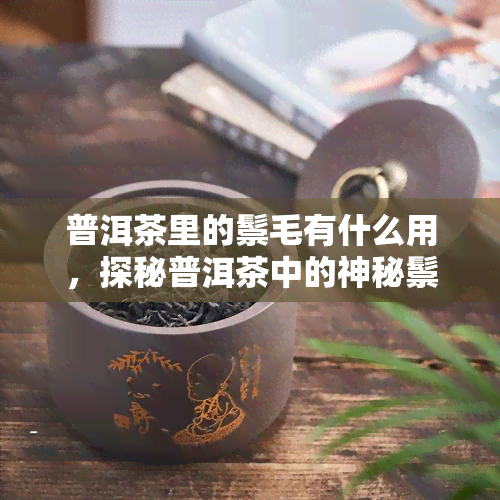 普洱茶里的鬃毛有什么用，探秘普洱茶中的神秘鬃毛：它们到底有何作用？