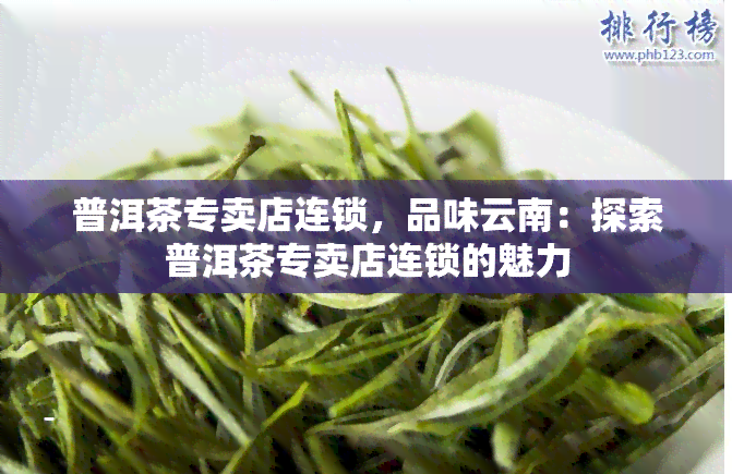 普洱茶专卖店连锁，品味云南：探索普洱茶专卖店连锁的魅力