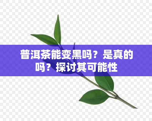 普洱茶能变黑吗？是真的吗？探讨其可能性