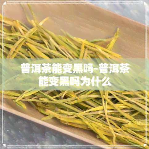 普洱茶能变黑吗-普洱茶能变黑吗为什么