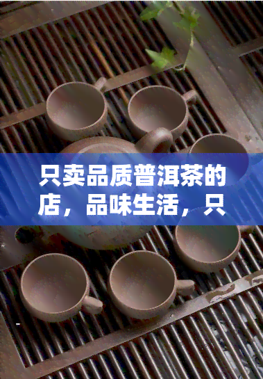 只卖品质普洱茶的店，品味生活，只选品质普洱茶——我们的店铺