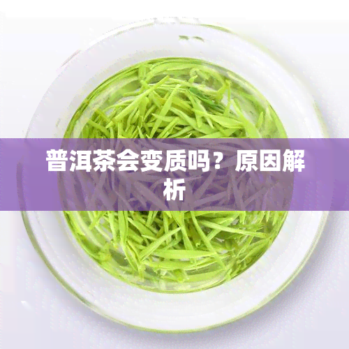 普洱茶会变质吗？原因解析