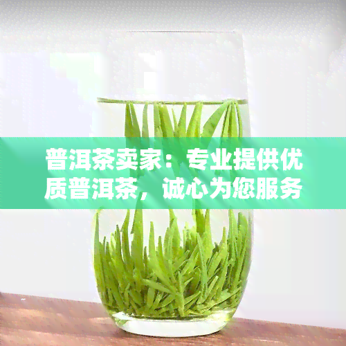 普洱茶卖家：专业提供优质普洱茶，诚心为您服务