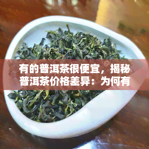 有的普洱茶很便宜，揭秘普洱茶价格差异：为何有的普洱茶如此便宜？