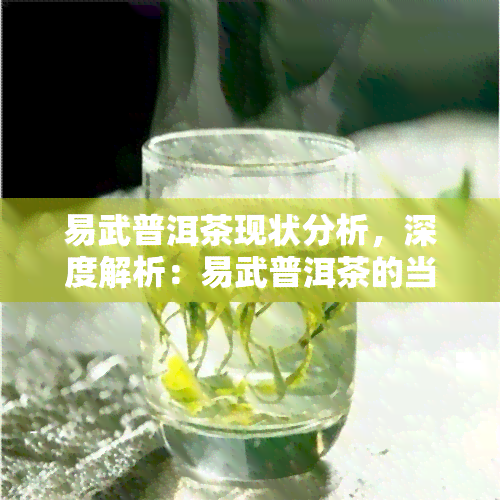 易武普洱茶现状分析，深度解析：易武普洱茶的当前市场状况与前景展望