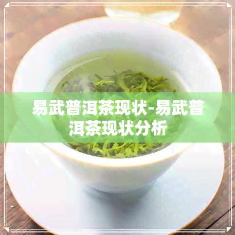 易武普洱茶现状-易武普洱茶现状分析