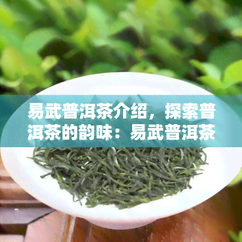 易武普洱茶介绍，探索普洱茶的韵味：易武普洱茶的魅力介绍