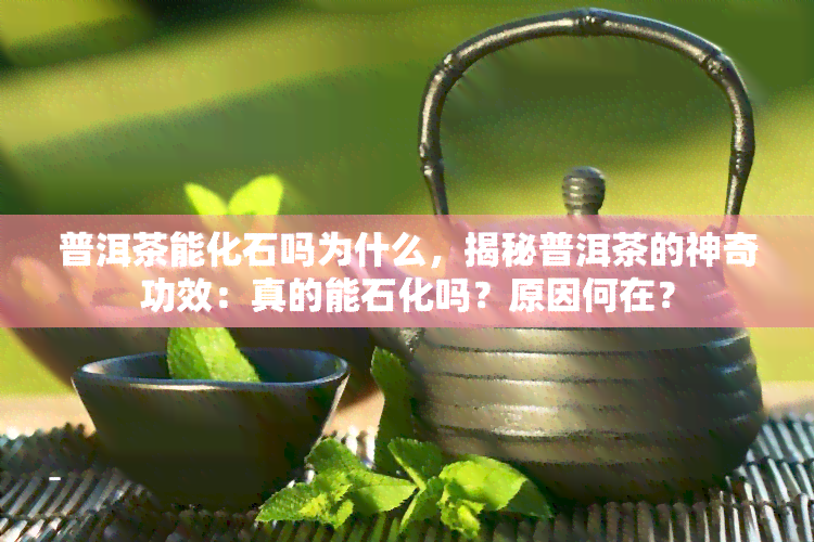 普洱茶能化石吗为什么，揭秘普洱茶的神奇功效：真的能石化吗？原因何在？