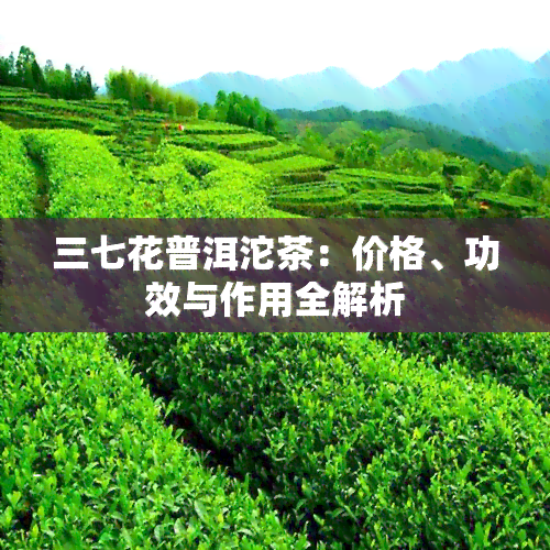 三七花普洱沱茶：价格、功效与作用全解析