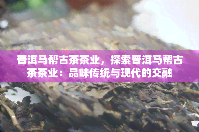 普洱马帮古茶茶业，探索普洱马帮古茶茶业：品味传统与现代的交融