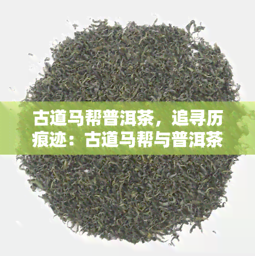 古道马帮普洱茶，追寻历痕迹：古道马帮与普洱茶的故事