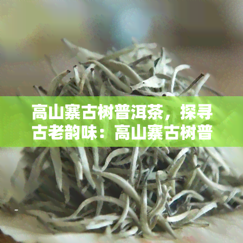 高山寨古树普洱茶，探寻古老韵味：高山寨古树普洱茶的魅力