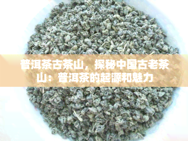 普洱茶古茶山，探秘中国古老茶山：普洱茶的起源和魅力