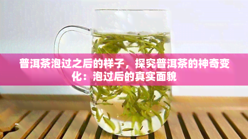 普洱茶泡过之后的样子，探究普洱茶的神奇变化：泡过后的真实面貌