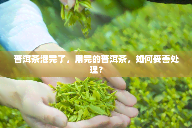 普洱茶泡完了，用完的普洱茶，如何妥善处理？