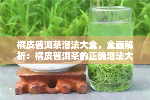 橘皮普洱茶泡法大全，全面解析：橘皮普洱茶的正确泡法大公开！