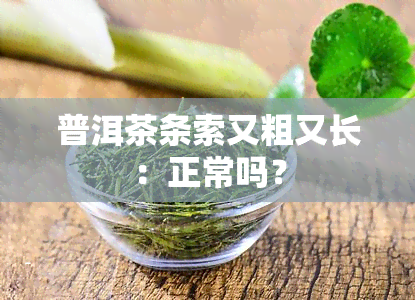 普洱茶条索又粗又长：正常吗？