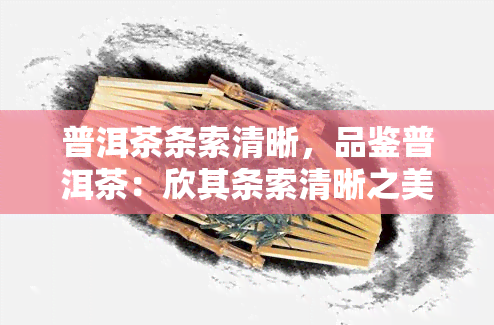 普洱茶条索清晰，品鉴普洱茶：欣其条索清晰之美