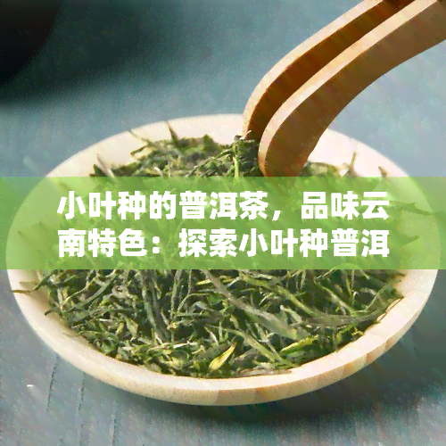 小叶种的普洱茶，品味云南特色：探索小叶种普洱茶的魅力