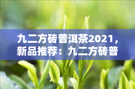 九二方砖普洱茶2021，新品推荐：九二方砖普洱茶，品味2021年的独特韵味