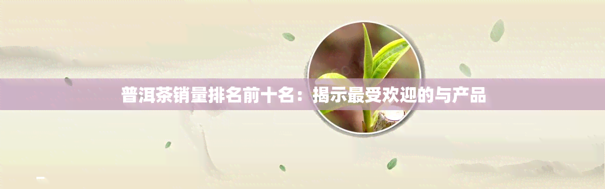 普洱茶销量排名前十名：揭示更受欢迎的与产品