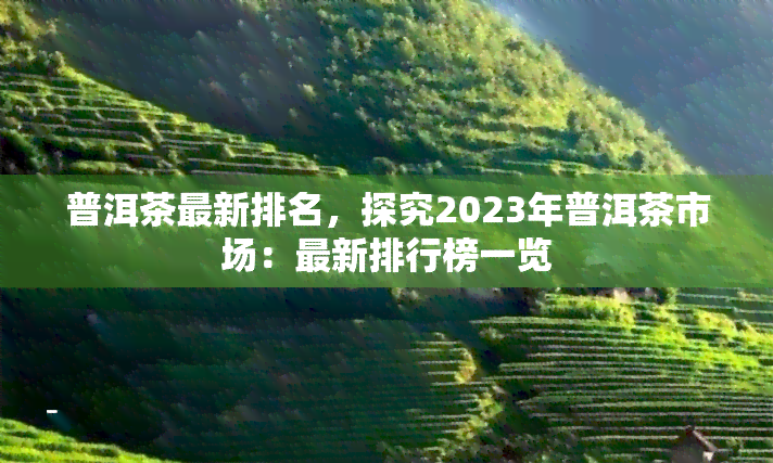 普洱茶最新排名，探究2023年普洱茶市场：最新排行榜一览