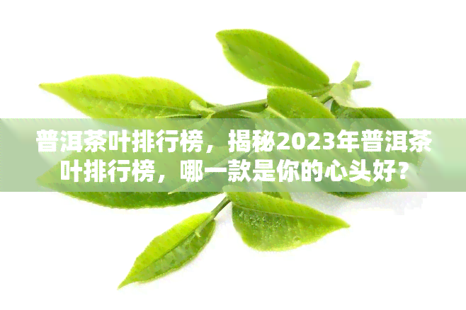 普洱茶叶排行榜，揭秘2023年普洱茶叶排行榜，哪一款是你的心头好？