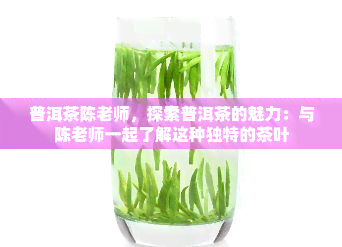 普洱茶陈老师，探索普洱茶的魅力：与陈老师一起了解这种独特的茶叶