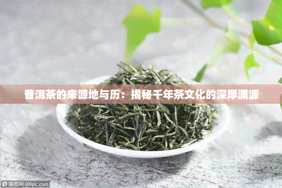 普洱茶的来源地与历：揭秘千年茶文化的深厚渊源