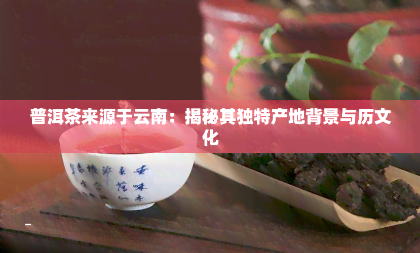 普洱茶来源于云南：揭秘其独特产地背景与历文化