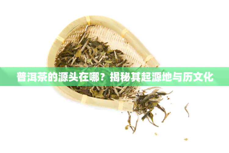 普洱茶的源头在哪？揭秘其起源地与历文化