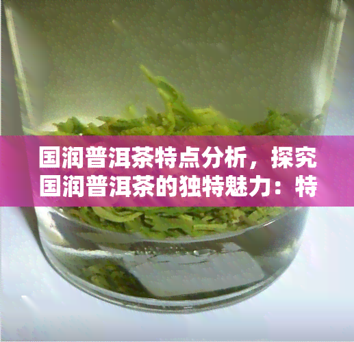 国润普洱茶特点分析，探究国润普洱茶的独特魅力：特点分析