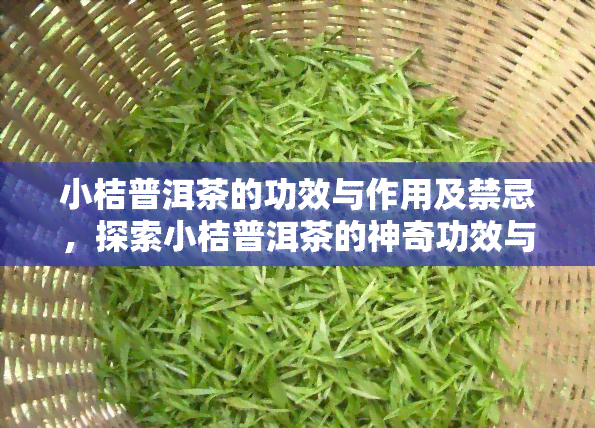 小桔普洱茶的功效与作用及禁忌，探索小桔普洱茶的神奇功效与作用，以及饮用时需注意的禁忌