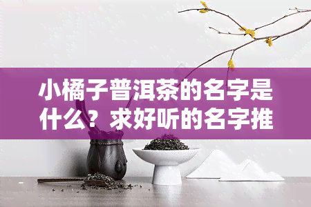 小橘子普洱茶的名字是什么？求好听的名字推荐！