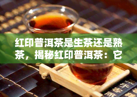 红印普洱茶是生茶还是熟茶，揭秘红印普洱茶：它是生茶还是熟茶？