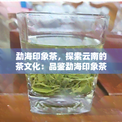 勐海印象茶，探索云南的茶文化：品鉴勐海印象茶的独特魅力