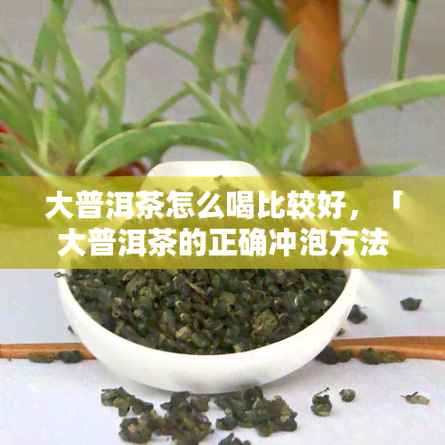 大普洱茶怎么喝比较好，「大普洱茶的正确冲泡方法」