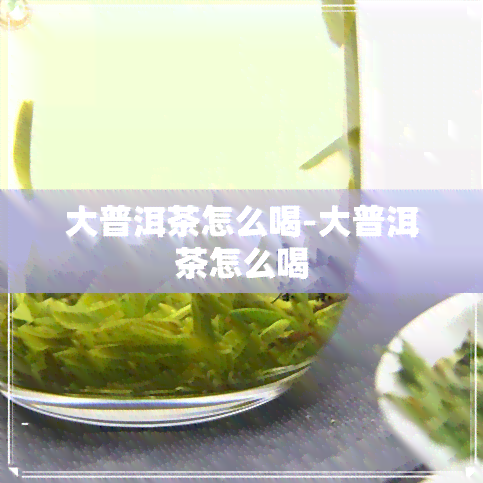 大普洱茶怎么喝-大普洱茶怎么喝