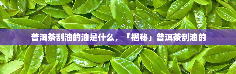 普洱茶刮油的油是什么，「揭秘」普洱茶刮油的