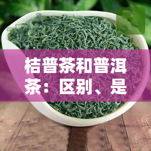 桔普茶和普洱茶：区别、是否同一茶种，及功效作用解析