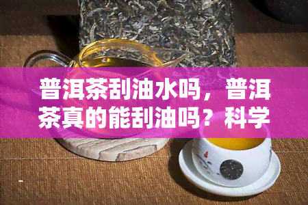 普洱茶刮油水吗，普洱茶真的能刮油吗？科学解析普洱茶的减肥效果