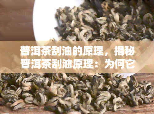 普洱茶刮油的原理，揭秘普洱茶刮油原理：为何它能有效助消化？