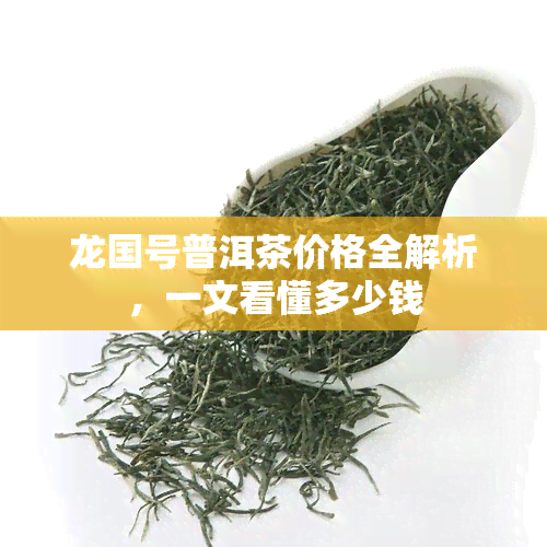 龙国号普洱茶价格全解析，一文看懂多少钱